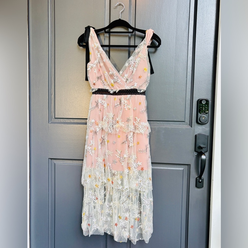 Self-Portrait Nude Tulle Midi Dress with Silver Floral Embroidery - Picture 5 of 7